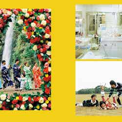 「『SWITCH』9月号 特集 浅田政志と家族写真」（9月20日発売）より（提供写真）