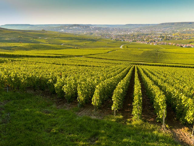 column_d43b540d7e7d076970f666aa6298ef30.