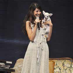 愛犬「パヒカ」と登場した吉川ひなの
