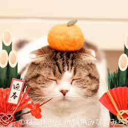 ねこ休み展/画像提供:株式会社BACON