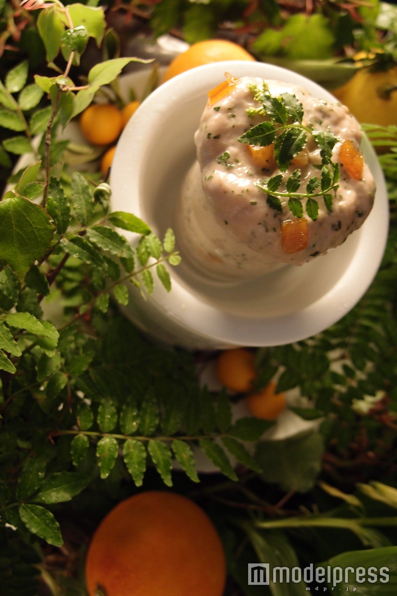 Bread of the forest／画像提供：アビアレップス