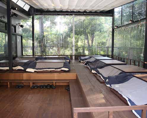 冬の寒さを楽しむ「こたつガーデン」がスタート、人気のあったかスポットでお洒落鍋パしよう