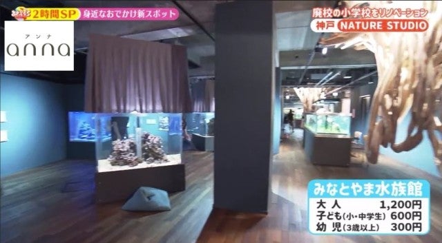 大阪・神戸に新たにオープン！テレビで紹介された「おでかけスポット」3選