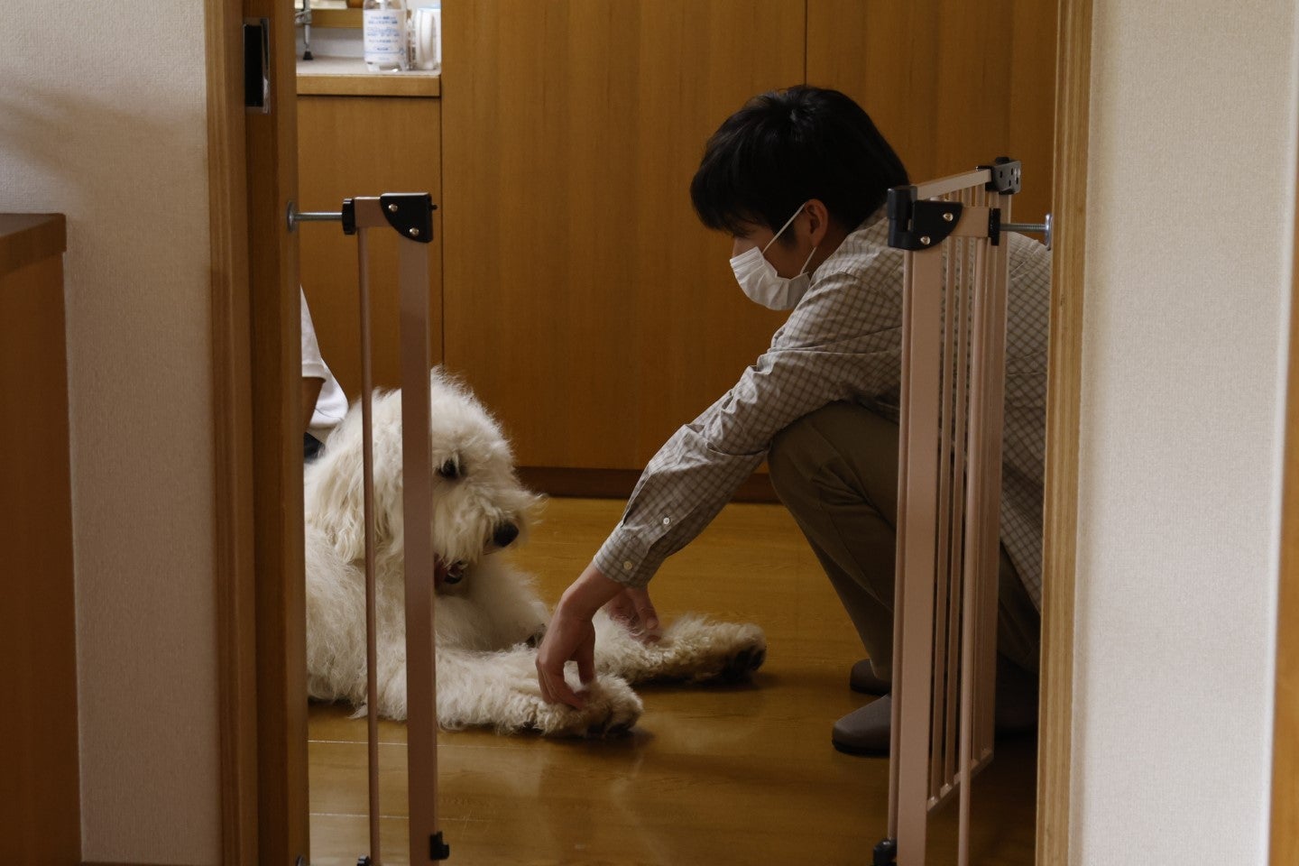 ベック、田中圭（C）2022「ハウ」製作委員会