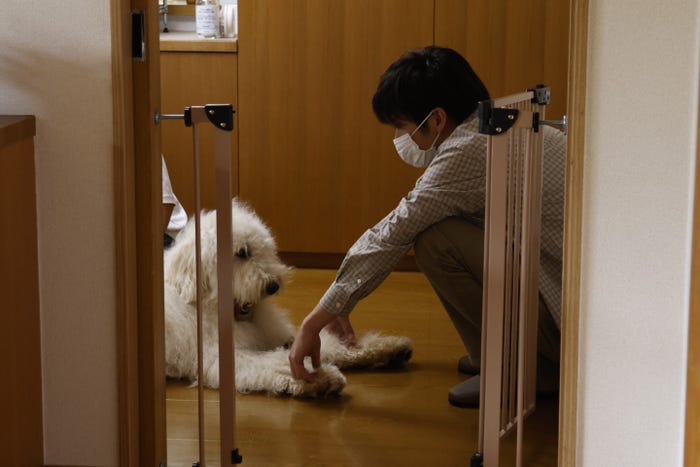 ベック、田中圭(C)2022「ハウ」製作委員会