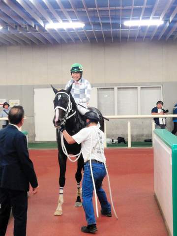 新潟4Rの新馬戦で今村聖奈騎手がトップレイアーをVに導く