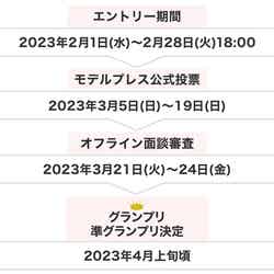 「K-1 GIRLS 2023 × ミスモデルプレス オーディション」スケジュール（C）モデルプレス