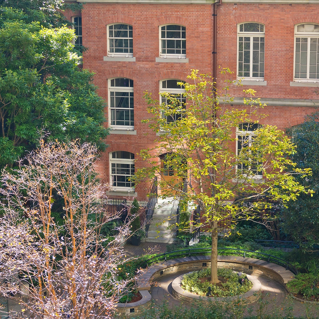 イギリス庭園をイメージした中庭は、多種のバラや様々な植物が植えられ、憩いの場として人気／画像提供：三菱一号館美術館