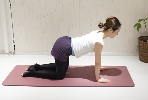 背骨を伸ばし四つ這いでスタート