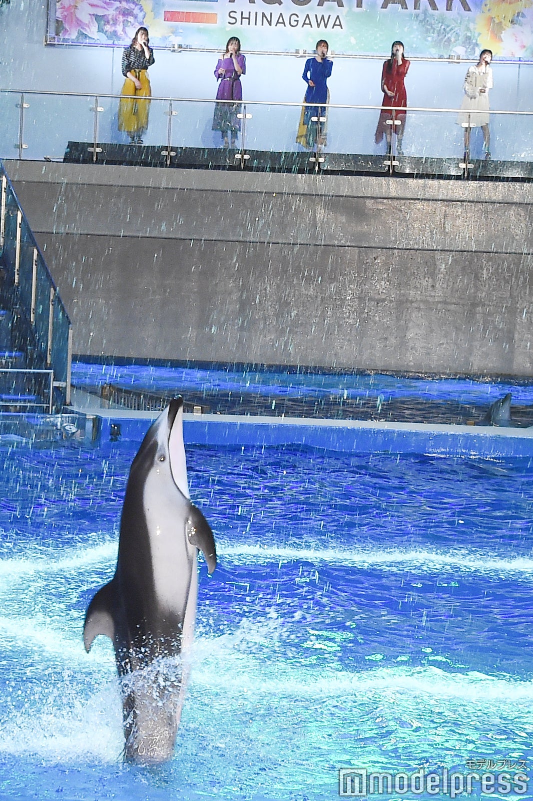 リトグリとイルカ（左から）かれん、MAYU、芹奈、manaka、アサヒ（C）モデルプレス