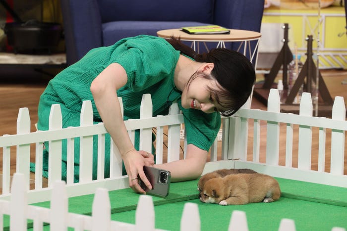 白石麻衣(C)テレビ朝日