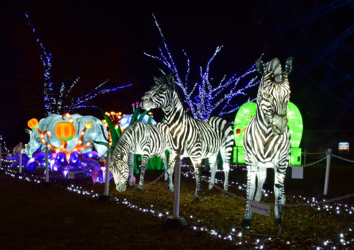 ウインターイルミネーション／画像提供：東武動物公園