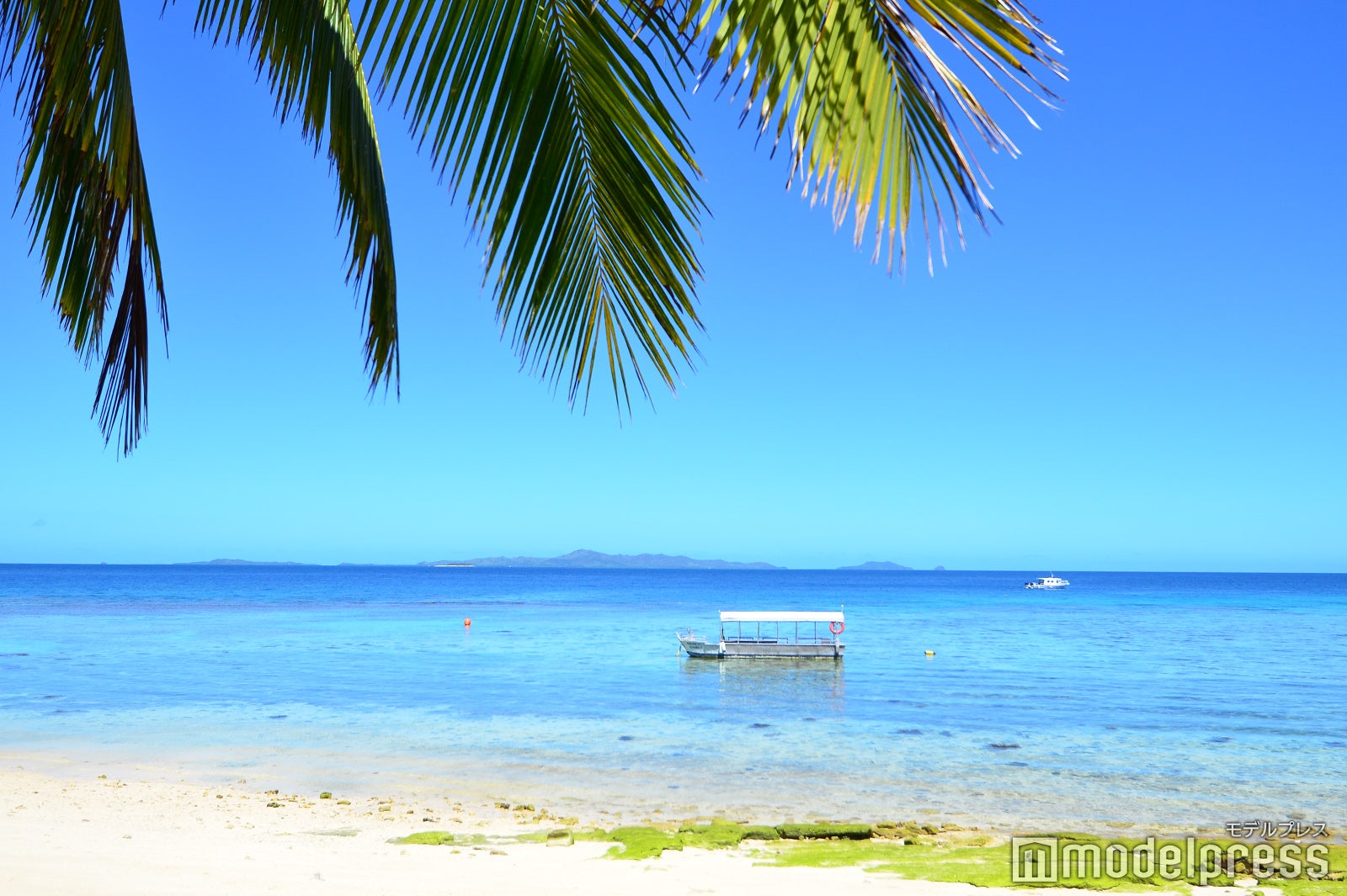 フィジー（C）モデルプレス