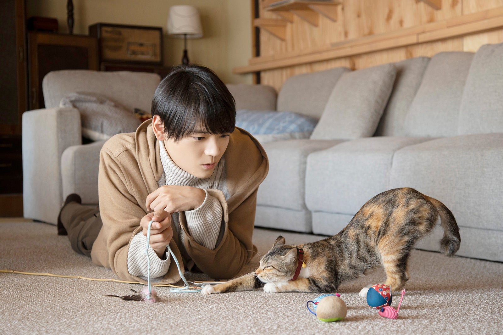 古川雄輝主演「ねこ物件」ドラマ放送開始前に映画化決定　超特報映像＆場面写真も解禁