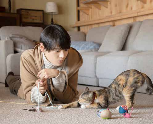 古川雄輝主演「ねこ物件」ドラマ放送開始前に映画化決定 超特報映像&場面写真も解禁