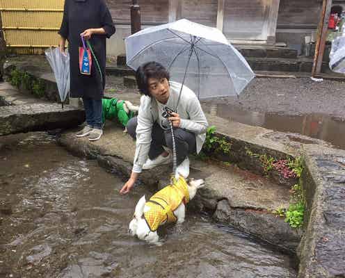 健太郎のもふもふ旅 温泉地でワンコとお散歩、ニャンコとお昼寝
