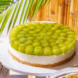 Snoopy Summer Beach Time/提供画像