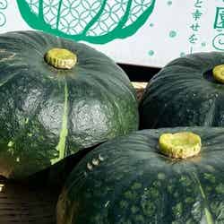 パープルコーヒー/提供画像