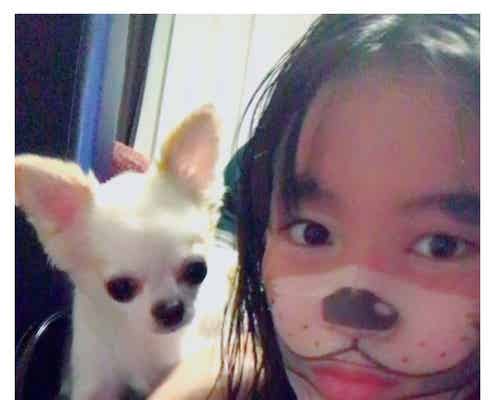 広瀬すず、愛犬と双子に?お茶目ショットに「癒される」「可愛すぎ」と反響