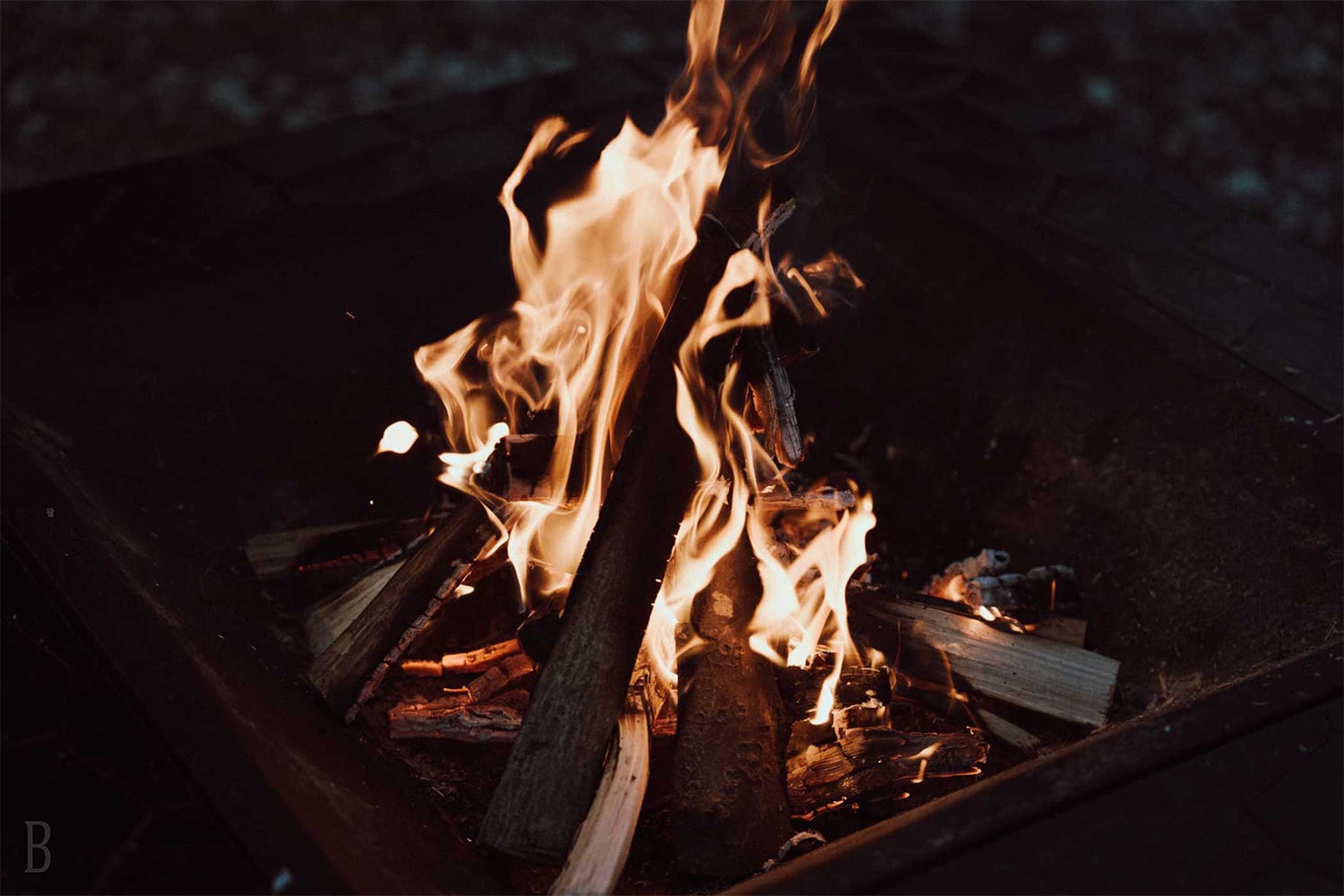 ほけだけグランピング～和泉の毬花～／提供画像