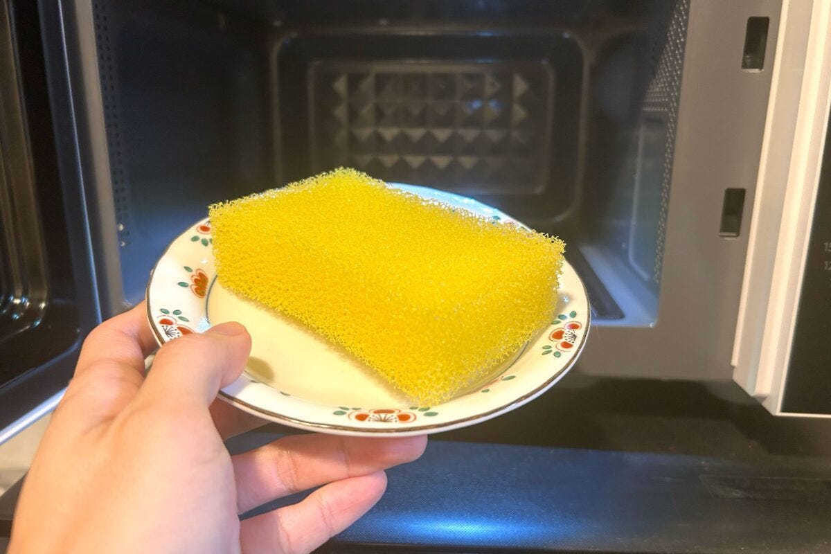 電子レンジと食器用スポンジ