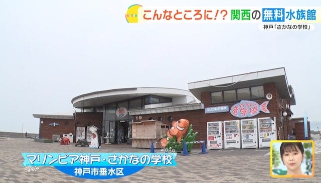 アウトレットの中に無料水族館？大人も子どもも楽しめるおでかけスポット