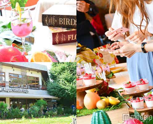 おしゃれに痩せたい!フォトジェニックで可愛いフードに女子熱視線