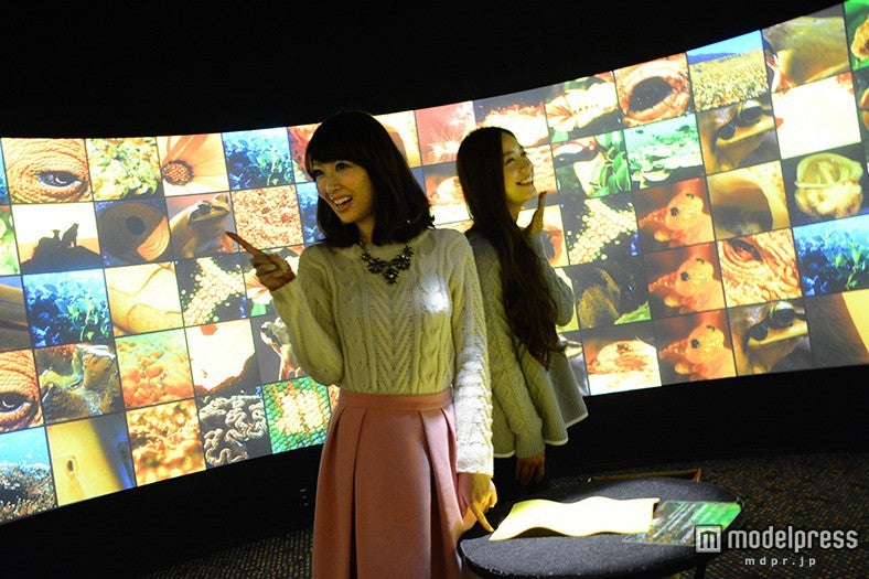 机の上に置いたものと同系色の動植物、風景の写真がスクリーンに映し出される「アースパレット」