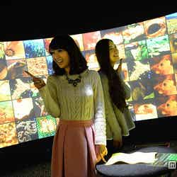 机の上に置いたものと同系色の動植物、風景の写真がスクリーンに映し出される「アースパレット」