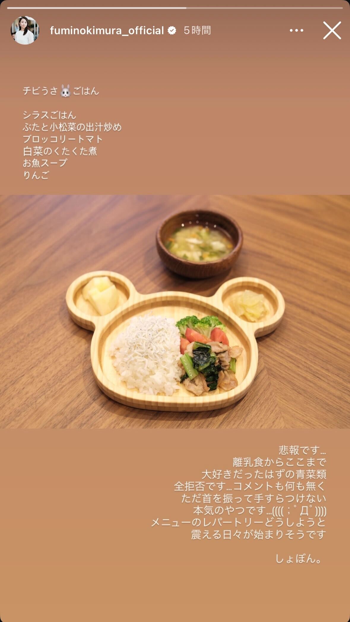 木村文乃Instagramストーリーズより