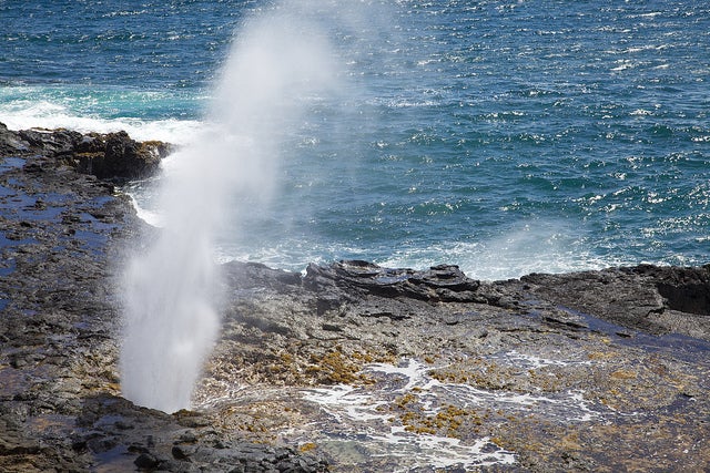 自然の潮吹き「スポーティング・ホーン」／photo by tbridge