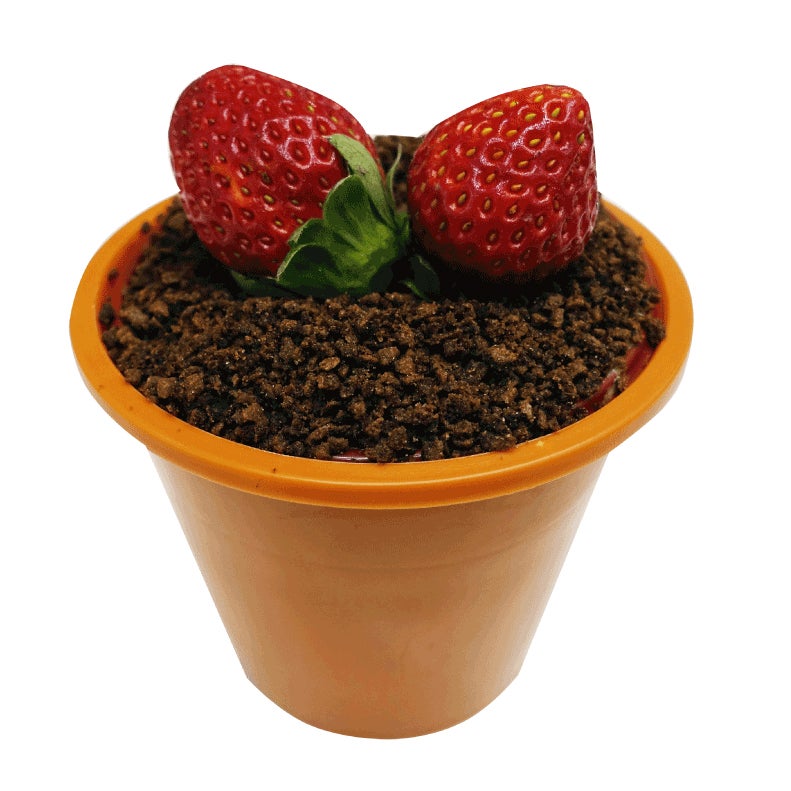 盆栽アイス（提供写真）