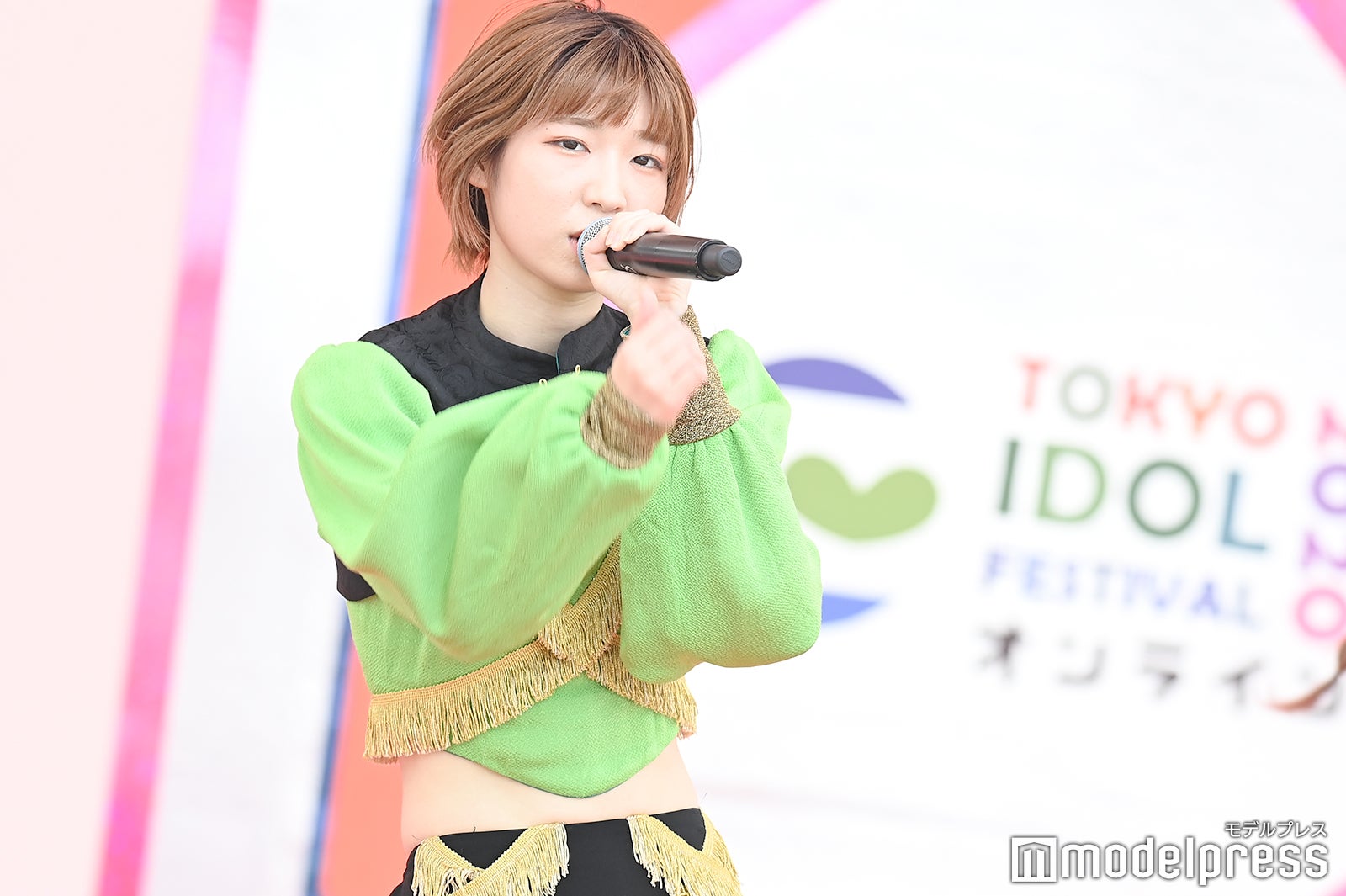 豆柴の大群（C）モデルプレス