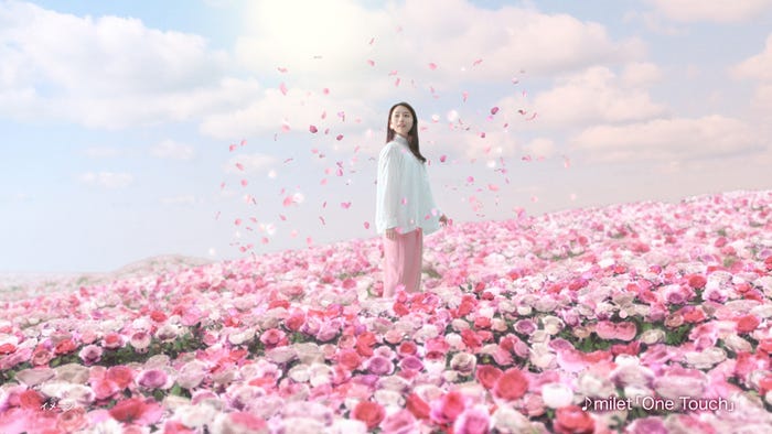 石原さとみ(提供写真)