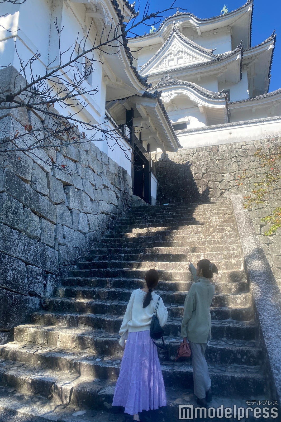 別名「白鳳城」とも呼ばれる（C）モデルプレス
