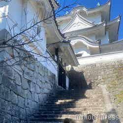 別名「白鳳城」とも呼ばれる(C)モデルプレス