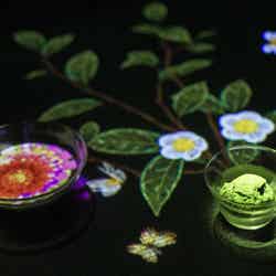 小さきものの中にある無限の宇宙に咲く花々/画像提供:チームラボ