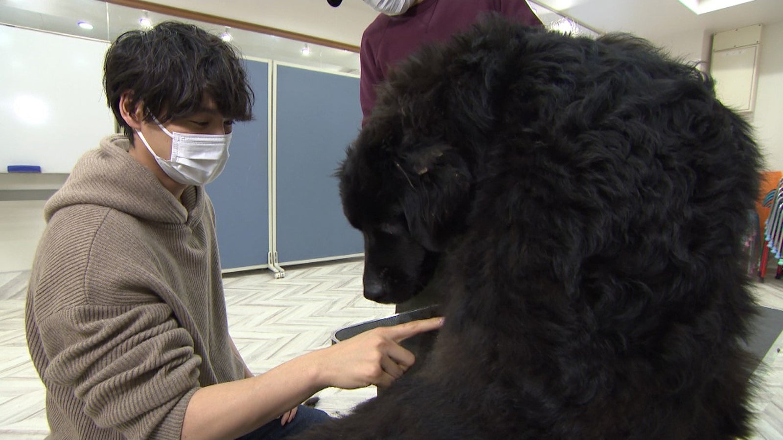（左から）福士蒼汰（C）日本テレビ