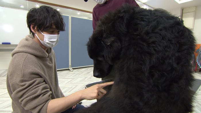 (左から)福士蒼汰(C)日本テレビ