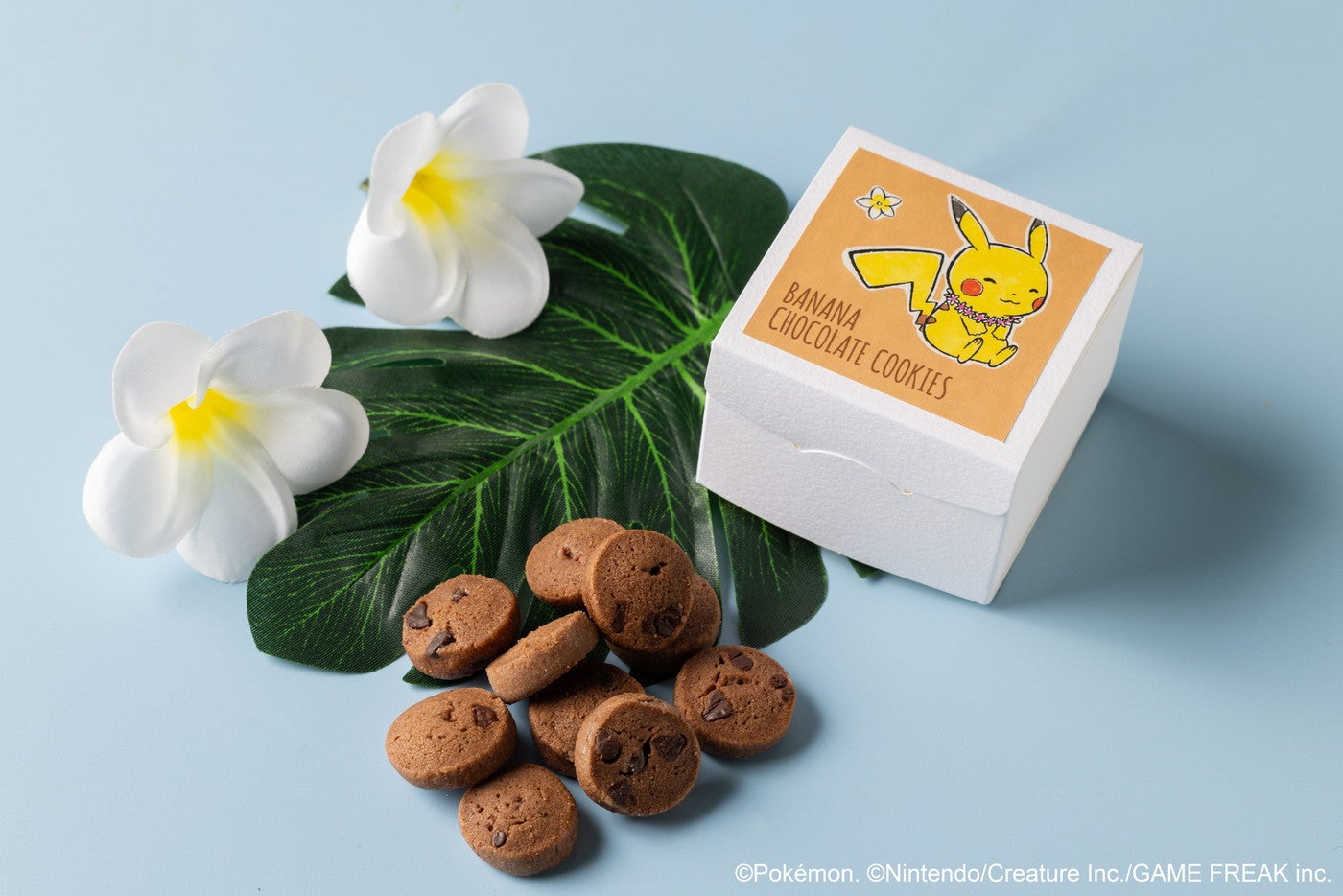 （C）Pokemon. （C）Nintendo/Creatures Inc./GAME FREAK inc.  ポケットモンスター・ポケモン・Pokemonは任天堂・クリーチャーズ・ゲームフリークの登録商標です。