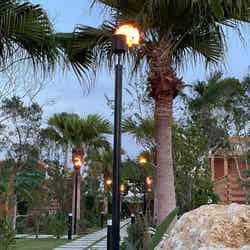 アワジ ラニカイ スクエア/提供画像