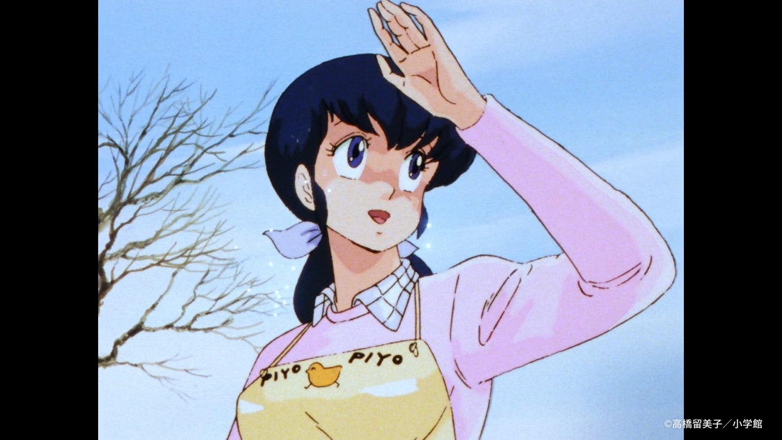 「めぞん一刻」（C）高橋留美子／小学館