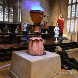 炎のゴブレット/ワーナー ブラザース スタジオツアー東京 – メイキング・オブ・ハリー・ポッター(C)モデルプレス