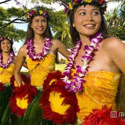 本場ハワイを感じるショーも