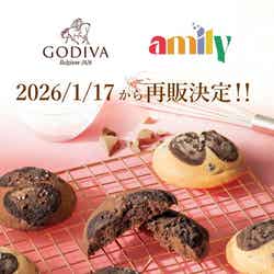 チアフルチョコチップクッキー/提供画像