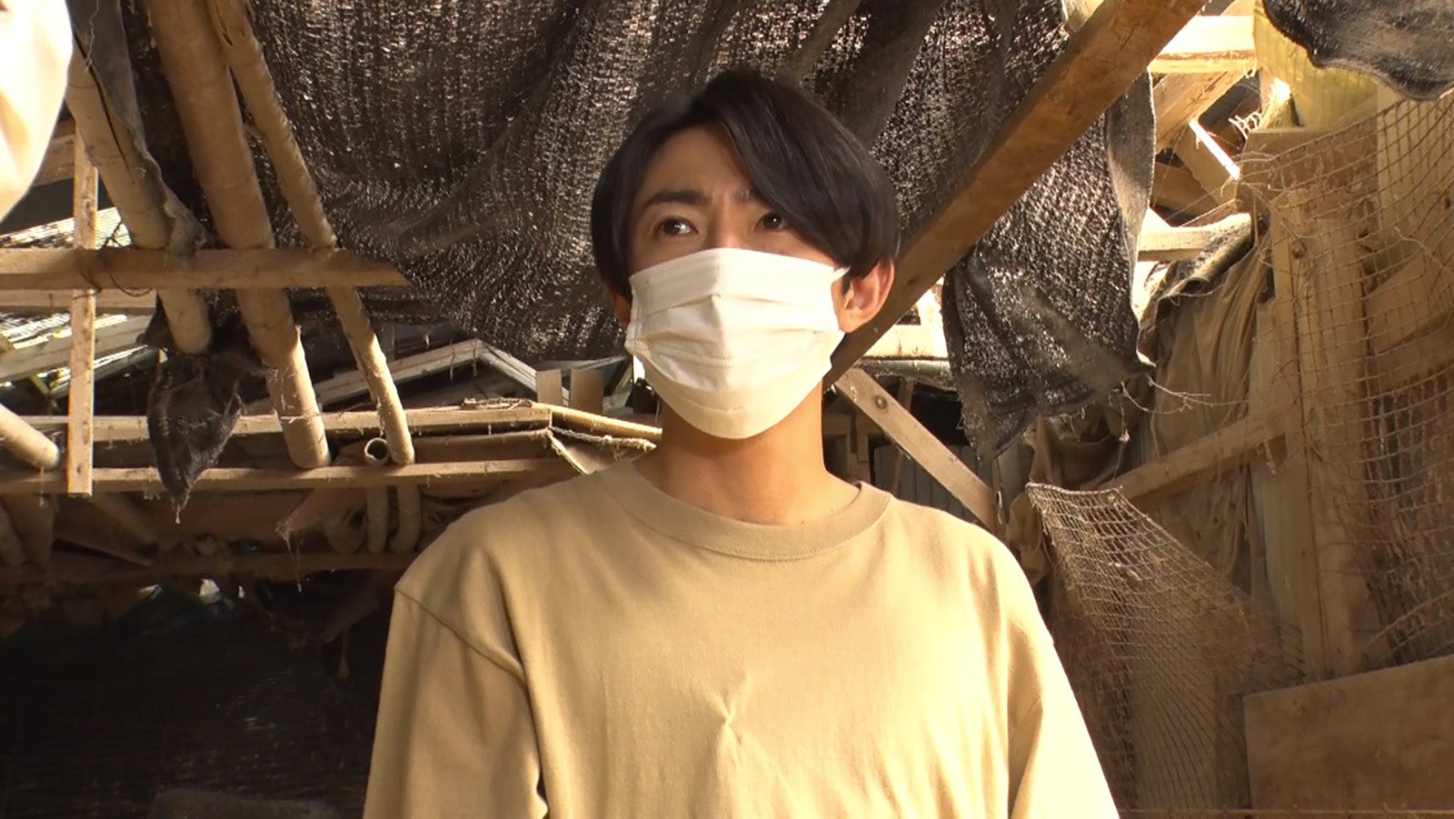 相葉雅紀、保護犬トリミング4年で初の緊急事態発生 SixTONES森本慎太郎が見守る