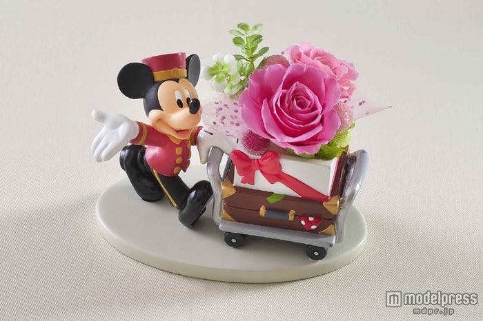 プリザーブドフラワーB(イメージ)(C)Disney