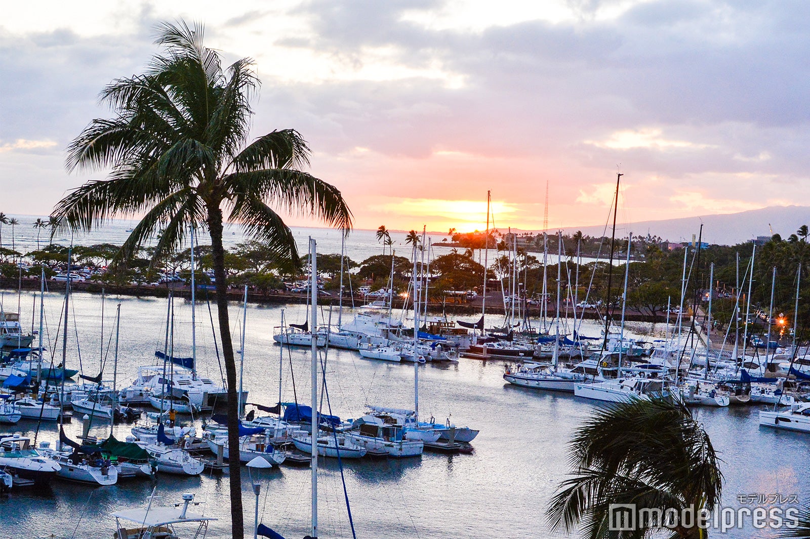 「プリンス ワイキキ」（C）モデルプレス