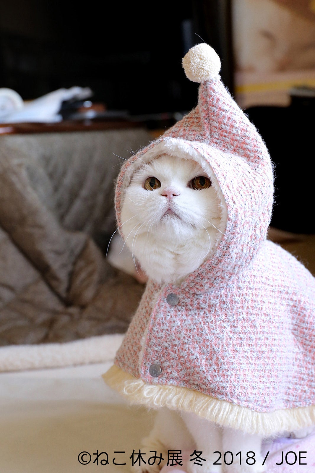 展示作品／画像提供：株式会社BACON