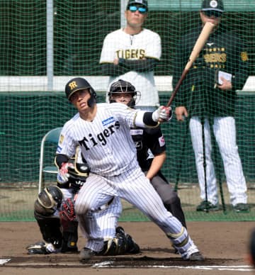 阪神 Gスコアラーが「すごい」と評したドラ2ルーキー 初めてプロの投手と対戦→初球を一発で仕留める 宜野座のスタンドどよめく